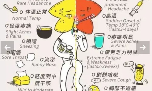 女性脸上湿疹是什么原因专区_女性脸上起痘痘什么原因造成的专区_女性脸上一直起痘怎么回事网